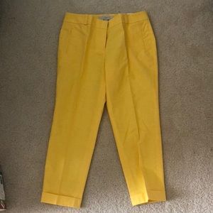 Never worn LOFT pants
